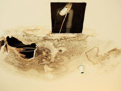 Professional water damage restoration services in Waterdown